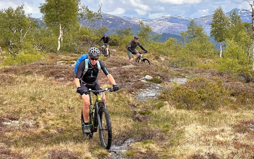 山地自行车 - 大特拉弗斯山