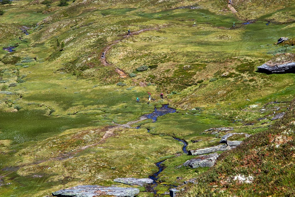 Mountainous landscape with a winding trail 