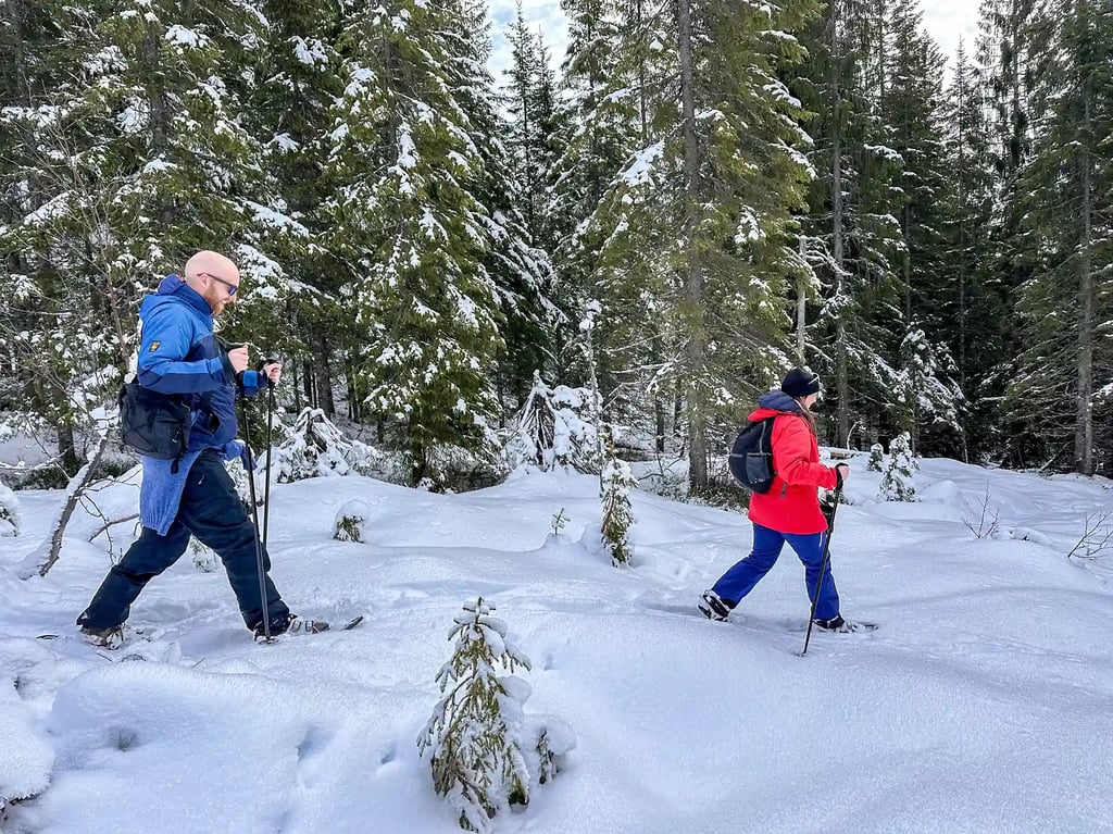 雪鞋之旅
