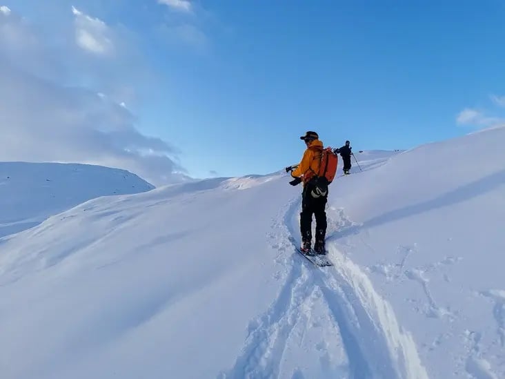 Skiers in snowy forest