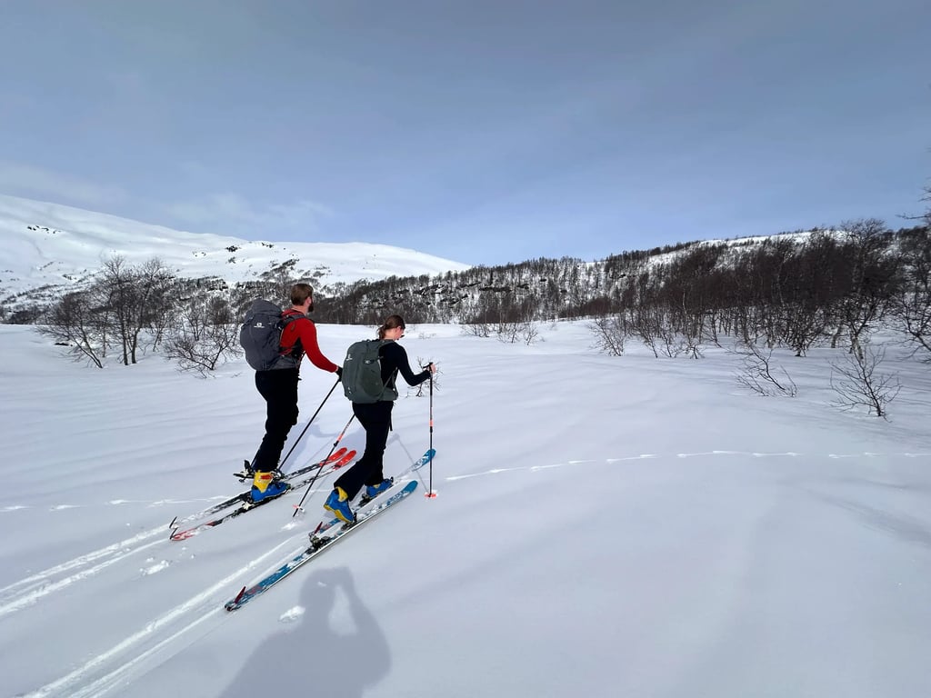 ADVANCE - 2025 BACKCOUNTRY SKI 9