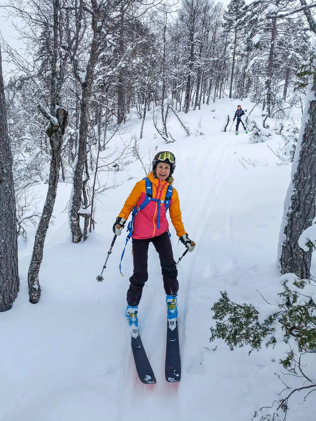 ADVANCE - BACKCOUNTRY SKI 2