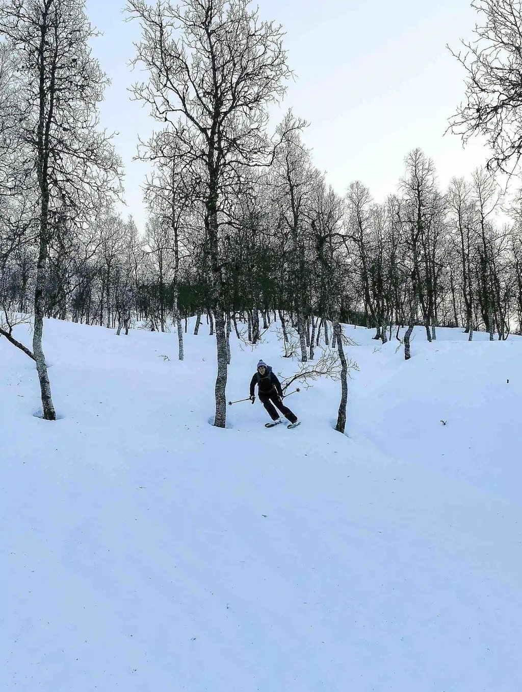 越野滑雪之旅 - 初级