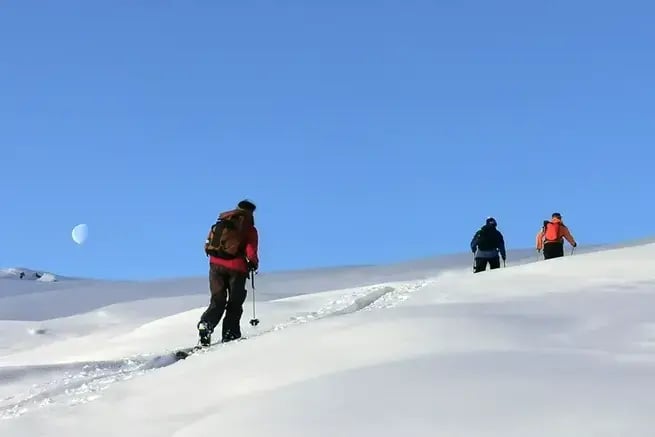越野滑雪之旅 - 初级