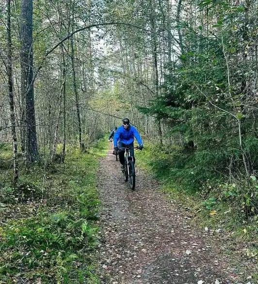Forest trail biking - 1