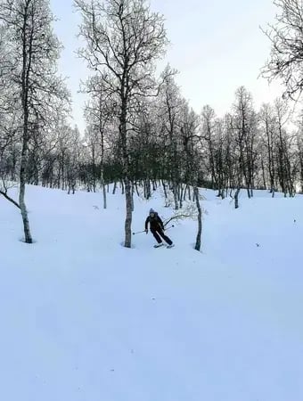 越野滑雪之旅 - 初级