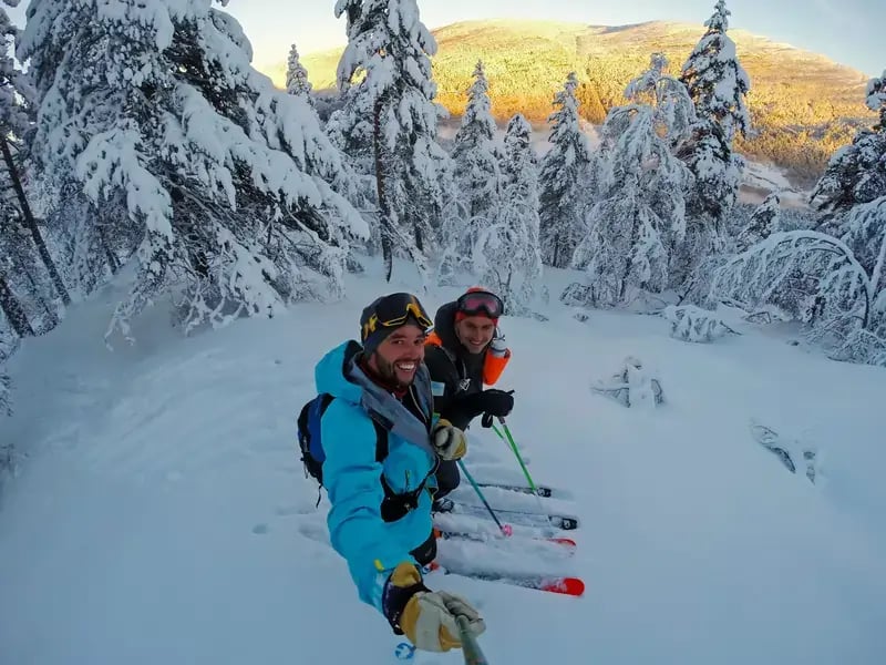 Skiers in snowy forest