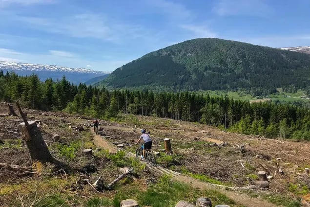 提高山地自行车技术
