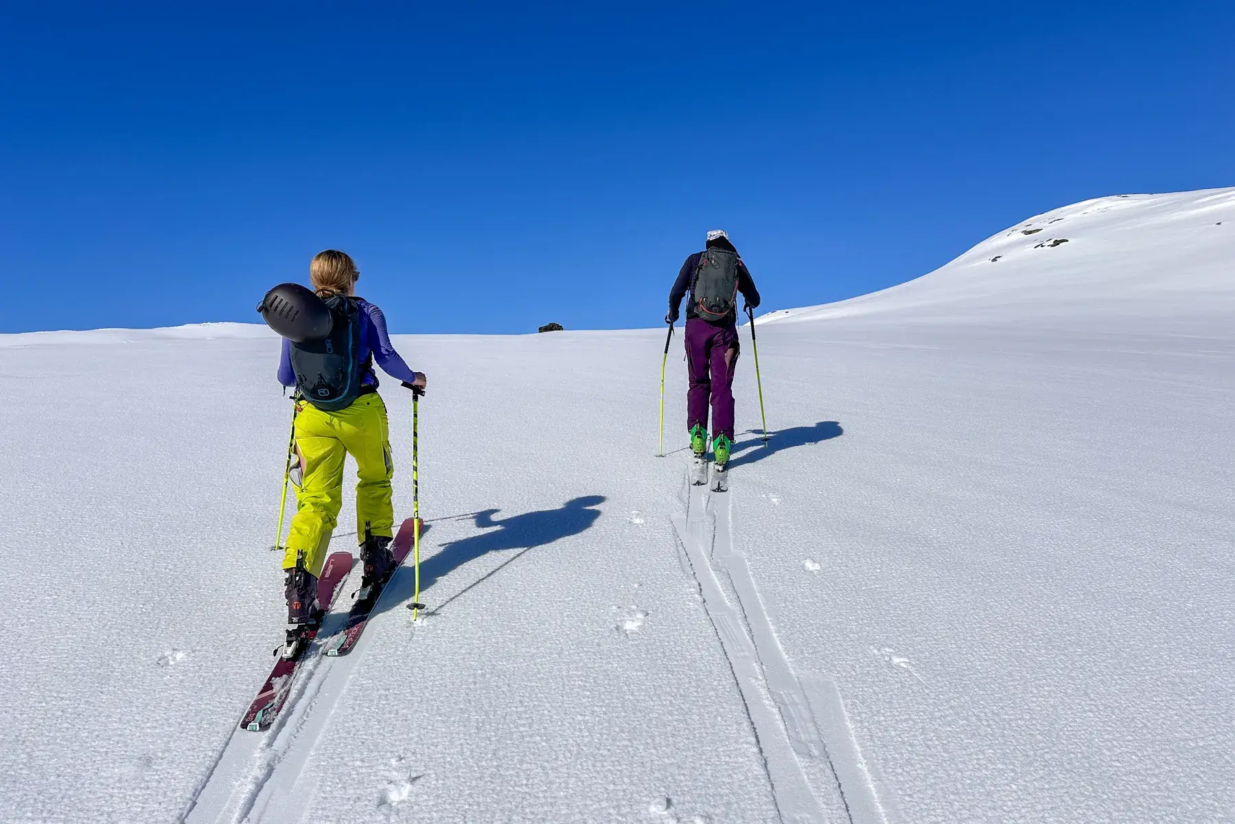 6 DAY SKI PACKAGE FRESH & CRUISERS 2025-6