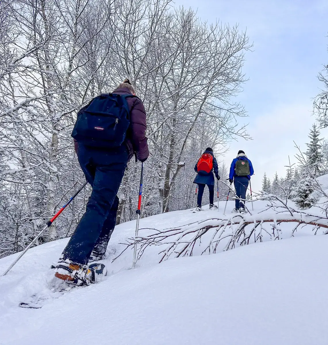 6 DAY SKI PACKAGE FRESH & CRUISERS 2025-9